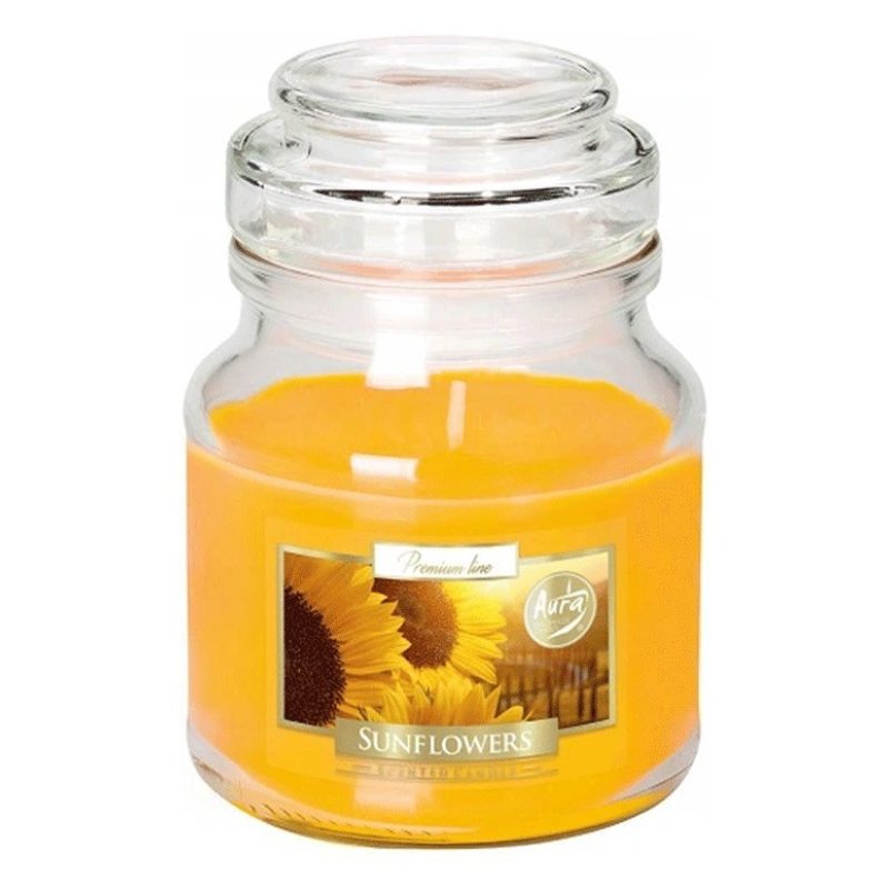 Bispol 2X CANDELA GIARA PROFUMATA PER AMBIENTE 28 ORE CASA AROMATIC...