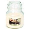 Bispol 2X CANDELA GIARA PROFUMATA PER AMBIENTE 28 ORE CASA AROMATIC...