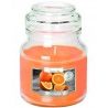 Bispol 2X CANDELA GIARA PROFUMATA PER AMBIENTE 28 ORE CASA AROMATIC...