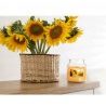 Bispol 2X CANDELA GIARA PROFUMATA PER AMBIENTE 28 ORE CASA AROMATIC...