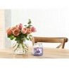 Bispol 2X CANDELA GIARA PROFUMATA PER AMBIENTE 28 ORE CASA AROMATIC...