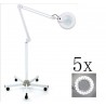 Lampada lente d'ingrandimento LED 5x da pavimento orientabile piedistallo 150cm