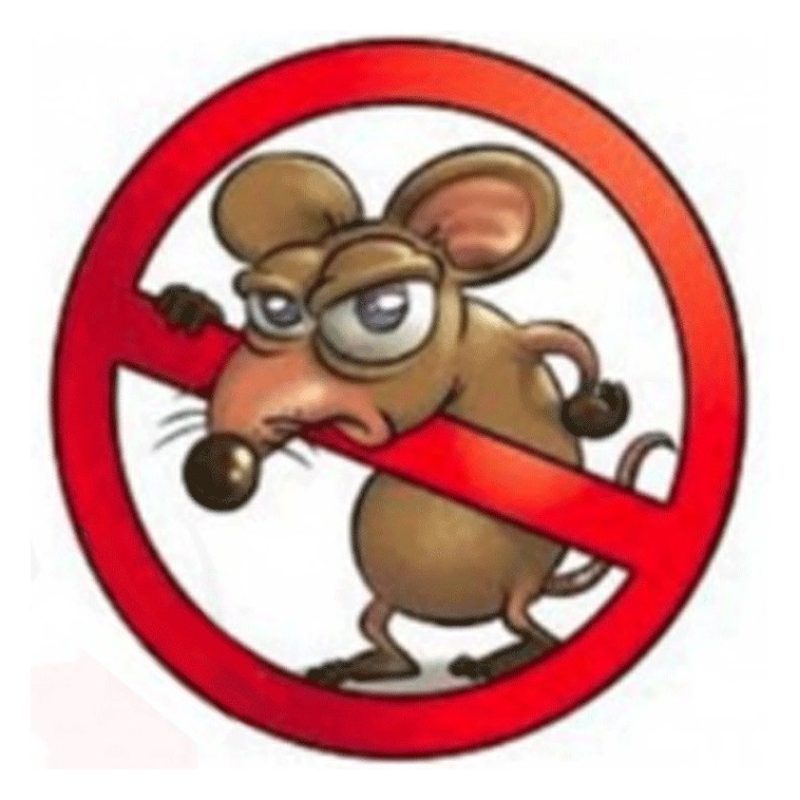 Protemax 3X PROTEMAX ESCA TOPICIDA GRANO VELENO TOPI RATTI DA 150GR...