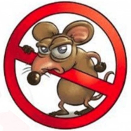 ESCA TOPICIDA PASTA 1 BUSTA KG.1,50- BASTA UNA SOLA INGESTIONE- VELENO BUSTINE