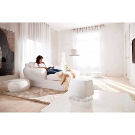 Air Max Ambience Mangia Umidità Ambiente Domestico con Magnete di Ricarica 450g