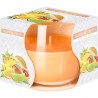 Bispol 6x CANDELA PROFUMATA PER AMBIENTE CASA 24 ORE IN VETRO 130g ...