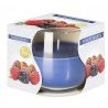 Bispol 6x CANDELA PROFUMATA PER AMBIENTE CASA 24 ORE IN VETRO 130g ...