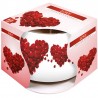 Bispol 6x CANDELA PROFUMATA PER AMBIENTE CASA 24 ORE IN VETRO 130g ...