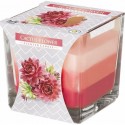 6x CANDELA PROFUMATA PER AMBIENTE CASA 32 ORE IN VETRO 170g Fragranza aromatica
