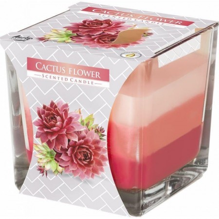 6x CANDELA PROFUMATA PER AMBIENTE CASA 32 ORE IN VETRO 170g Fragranza aromatica