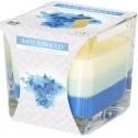 6x CANDELA PROFUMATA PER AMBIENTE CASA 32 ORE IN VETRO 170g Fragranza aromatica