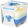 Bispol 6x CANDELA PROFUMATA PER AMBIENTE CASA 32 ORE IN VETRO 170g ...