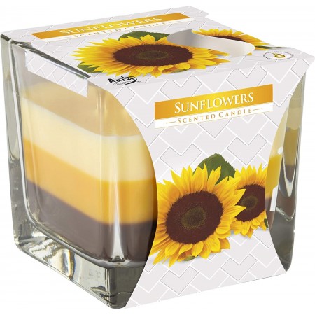 6x CANDELA PROFUMATA PER AMBIENTE CASA 32 ORE IN VETRO 170g Fragranza aromatica