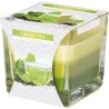 Bispol 6x CANDELA PROFUMATA PER AMBIENTE CASA 32 ORE IN VETRO 170g ...
