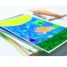 Fellowes 100 pouches ENHANCE 80 micron A3 Fellowes Pouches Di Plast...