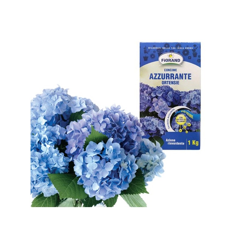 CONCIME GRANULARE AZZURRANTE PER ORTENSIE da 1 KG giardino FORMULA ARRICCHITA