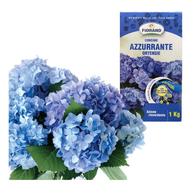 Fiorand CONCIME GRANULARE AZZURRANTE PER ORTENSIE da 1 KG giardino ...