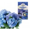Fiorand CONCIME GRANULARE AZZURRANTE PER ORTENSIE da 1 KG giardino ...