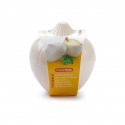 2x CONTENITORE SALVA ODORE PORTA CIPOLLA FRESCHEZZA 12x11CM PLASTICA FRIGO