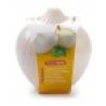 Plastic Forte 2x CONTENITORE SALVA ODORE PORTA CIPOLLA FRESCHEZZA 1...