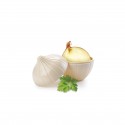 2x CONTENITORE SALVA ODORE PORTA CIPOLLA FRESCHEZZA 12x11CM PLASTICA FRIGO