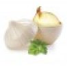 Plastic Forte 2x CONTENITORE SALVA ODORE PORTA CIPOLLA FRESCHEZZA 1...