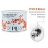 Depilia 2X DEPILIA CERA DEPILATORIA IN BARATTOLO LIPOSOLUBILE 400 M...