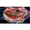 Dinamic Italia 100X BUSTE SOTTOVUOTO GOFFRATE PER ALIMENTI 15x25/20...