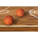2x Pallone Da Basket Pallacanestro Palla Ball gioco Basketball diametro 20 cm
