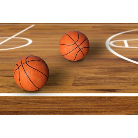 2x Pallone Da Basket Pallacanestro Palla Ball gioco Basketball diametro 20 cm