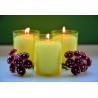 SET 20 CANDELE CITRONELLA ANTI ZANZARE PROFUMO AMBIENTE 9x4.7cm CAN...