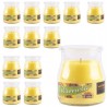 Lumar SET 12 CANDELE CITRONELLA VASETTO VETRO ANTI ZANZARE PROFUMO ...