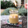 Lumar SET 12 CANDELE CITRONELLA VASETTO VETRO ANTI ZANZARE PROFUMO ...