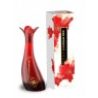 Mirage Profumo per donna fragranza spray 100ml Fleur D'amour Red Ea...
