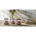 12 pz BORMIOLI ROCCO Vaso Quattro Stagioni 150ml barattoli vetro per conserve