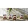 Bormioli Rocco 6 pz BORMIOLI ROCCO Vaso Quattro Stagioni 700ml bara...