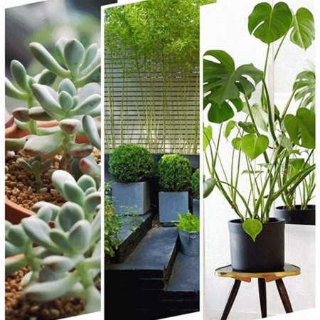 2x paletta da giardinaggio utensili attrezzi giardino manico trapiantatore 32cm