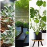 Hongu 2x paletta da giardinaggio utensili attrezzi giardino manico ...