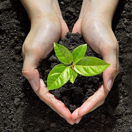 2x paletta da giardinaggio utensili attrezzi giardino manico trapiantatore 32cm