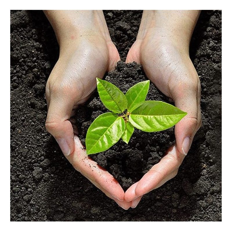 Hongu Mini pala quadrata paletta attrezzi utensili giardino 41x14cm...