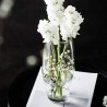 Hongu Vaso in vetro altezza 20cm Trasparente Elegante Per Fiori Pia...