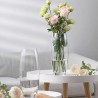 Hongu Vaso in vetro altezza 20cm Trasparente Elegante Per Fiori Pia...