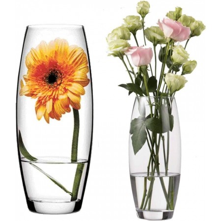 Vaso in vetro altezza 20cm Trasparente Elegante Per Fiori Piante arredo casa