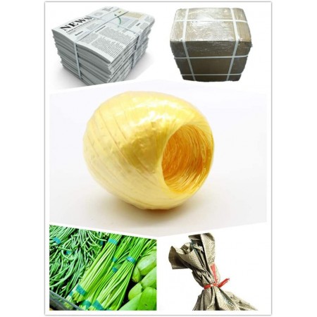 12x ROTOLO SPAGO AGRICOLO POLIPROPILENE GIARDINO IMBALLAGGIO 40m colorato