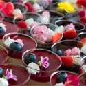 24  pz COPPETTA GELATO IN PLASTICA SET DA 80 CC DESSERT TRASPARENTI FINGER FOOD