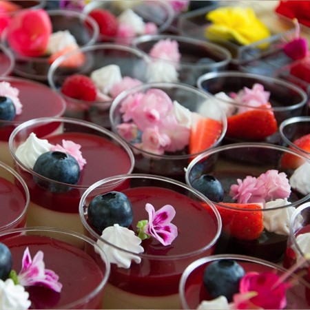 24 pz COPPETTA GELATO IN PLASTICA SET DA 220 CC DESSERT TRASPARENTI FINGER FOOD