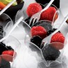 Hongu 48 pz COPPETTA Bicchierini IN PLASTICA DA 60 CC DESSERT TRASP...