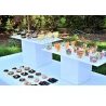 Hongu 48 pz COPPETTA Bicchierini IN PLASTICA DA 60 CC DESSERT TRASP...