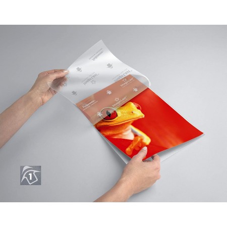 100 pouches Capture 125 micron A4 Fellowes Pouches Plastificazione Documenti 