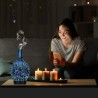 Hongu DIFFUSORE DI AROMI UMIDIFICATORE AROMATERAPIA 120ML OLI ESSEN...